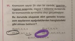 11. Kromozom sayısı 2n olan bir canlıda, sperma-
togenez sırasında, mayoz I bölünme evresinde
bir kromozomda ayrılmama olayı gerçekleşiyor.
Bu durumda oluşacak dört gametin kromo-
zom sayılarının aşağıdakilerden hangisindeki
gibi olması beklenir?
A) n+1, n, n, n
B) n-1, n, n, n
Cni, n-1, n, n
D) n 1, n+1, n-1, n-1
E) n+1, 1, 1-1, n