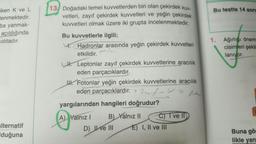 Bu testte 14 soru
iken K ve L
tenmektedir.
ba yanmak-
açıldığında
naktadır.
13 Doğadaki temel kuvvetlerden biri olan çekirdek kuv-
vetleri, zayıf çekirdek kuvvetleri ve yeğin çekirdek
kuvvetleri olmak üzere iki grupta incelenmektedir.
Bu kuvvetlerle ilgili;
4. Hadronlar arasında yeğin çekirdek kuvvetleri
1. Ağırlığı önem
cisimleri şekil
lanıyor.
etkilidir.
H. Leptonlar zayıf çekirdek kuvvetlerine aracılık
eden parçacıklardır.
II. Fotonlar yeğin çekirdek kuvvetlerine aracılık
eden parçacıklardır. > Zasifu w z
yargılarından hangileri doğrudur?
A) Yalnız! B) Yalnız 11 C) Tve II
D) Ie III E) I, II ve III
alternatif
duğuna
Buna gör
likle
yan