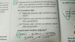 Bu testte 14 soru
iken K ve L
tenmektedir.
ba yanmak-
açıldığında
naktadır.
13 Doğadaki temel kuvvetlerden biri olan çekirdek kuv-
vetleri, zayıf çekirdek kuvvetleri ve yeğin çekirdek
kuvvetleri olmak üzere iki grupta incelenmektedir.
Bu kuvvetlerle ilgili;
4. Hadronlar arasında yeğin çekirdek kuvvetleri
1. Ağırlığı önem
cisimleri şekil
lanıyor.
etkilidir.
H. Leptonlar zayıf çekirdek kuvvetlerine aracılık
eden parçacıklardır.
II. Fotonlar yeğin çekirdek kuvvetlerine aracılık
eden parçacıklardır. > Zasifu w z
yargılarından hangileri doğrudur?
A) Yalnız! B) Yalnız 11 C) Tve II
D) Ie III E) I, II ve III
alternatif
duğuna
Buna gör
likle
yan
