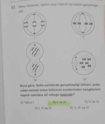 17. Mitoz bölünme, diploit veya haploit canlılarda gerçekleye
bilir
88
3 2 2
88
88
1888
88
III
IV
Buna göre, farklı canlılarda gerçekleştiği bilinen, yuka-
rıdaki normal mitoz bölünme evrelerinden hangilerinin
haploit canlılara ait olduğu kesindir?
A) Yaln