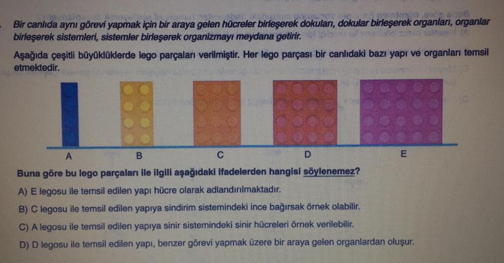 .
Bir canlıda aynı görevi yapmak için bir araya gelen hücreler birleşerek dokuları, dokular birleşerek organlari, organlar
birleşerek sistemleri, sistemler birleşerek organizmayı meydana getirir.
Aşağıda çeşitli büyüklüklerde lego parçaları verilmiştir. He