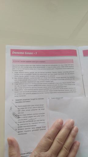 Deneme Sınavı - 1
4. 5. 6 ve 7 sorulan aşağıdaki metne göre cevaplayın.
Can ve mal kaybına sebep olan doğa olaylarına dogat atet adı verilmektedir. Bir olayın doğal afet labu
edilmesi için dört özelliğe sahip olması gerekmektedir 1. Insani bir etken yoktur