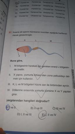 Frontal lop
Parietal lop
B)
Parietal lop
Frontal lop
Temporal lop Okipital top
Frontal top
Oksipitallop Temporal lop
Oksipitallop Temporal lop
Temporal lop Oksipital lop
Frontal lop
Oksipitallop Temporal lop Pantal top
Parietal lop
D
Parietal lop
D. Z
E)
Frontal lop
37. Insana ait sperm hücresinin kısımları aşağıda harflendi-
rilerek gösterilmiştir.
K
L
M
Buna göre,
Mbölgesinin hareketi için gereken enerji L bölgesin-
1.
de üretilir.
II. X yapısı, yumurta örtüsü olan zona pellusidayı del-
mek için kullanılır.
KUNG VONSERISI
III. K, L ve M bölgeleri hücre zarı ile birbirinden ayrılır.
IV. Döllenme sırasında yumurta içerisine X ve Y yapıları
girer.
yargılarından hangileri doğrudur?
A)) ve it
B) Il ve III
CHU ve IV
D) I, II ve HII
EI, II ve IV
