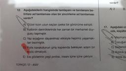 vardır?
A) 2
B)
12. Aşağıdakilerin hangisinde tamlayanı ve tamlananı be-
lirtisiz ad tamlaması olan bir zincirleme ad tamlaması
vardır?
17. Aşağıdaki cü
cük, küçültn
A) Güzel kızın uzun saçları ipeksi bir görünüme sahipti.
B) Kalbinin derinliklerinde her zaman bir merhamet duy-
gusu taşımıştır.
C) Yaz sıcağının dayanılmaz etkisiyle hepimiz yaşamak-
tan bezmiştik.
D) Polis karakolunun giriş kapısında bekleyen adam bir
suçlu olmalıydı.
E) Ela gözlerinin yeşil pırıltısı, insanı içine içine çekiyor.
A) Maymund
B) Çocuğun
C) Bademci
D) Kızılcık ş
El Yolda du
TÜRKÇE /0-8322
