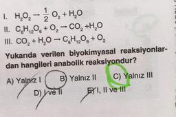 1. H,02 -10, +4,0
2
II. CH2O6 + 0, - CO, +H,0
III. CO, +H,O - CH206+
Yukarıda verilen biyokimyasal reaksiyonlar-
dan hangileri anabolik reaksiyondur?
A) Yalnız 1 B) Yalnız II C) Yalnız III
D) We 11 FYI, II ve III