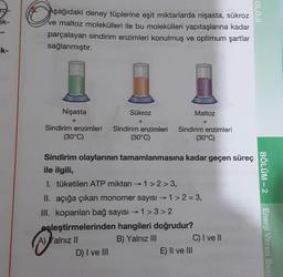 ro-
OLOJ
ek-
Aşağıdaki deney tüplerine eşit miktarlarda nişasta, sükroz
ve maltoz molekülleri ile bu molekülleri yapıtaşlarına kadar
parçalayan sindirim enzimleri konulmuş ve optimum şartlar
sağlanmıştır.
ik-
Sükroz
Maltoz
+
Nişasta
+
Sindirim enzimleri
(30°C)
Sindirim enzimleri
(30°C)
Sindirim enzimleri
(30°C)
Sindirim olaylarının tamamlanmasına kadar geçen süreç
ile ilgili,
BÖLÜM - 2
1. tüketilen ATP miktarı →1 >2 > 3,
II. açığa çıkan monomer sayısı →1 > 2 = 3,
III. koparılan bağ sayısı → 1>3 > 2
eşleştirmelerinden hangileri doğrudur?
A) Yalnız II
B) Yalnız III
C) I ve II
D) I ve II
E) II ve III
Enerji Veren Bes