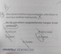 9.
Bazı toprak türlerinin oluşumunda iklim, bitki örtüsü ve
ana kaya özellikleri belirleyicidir.
Bu tür topraklara aşağıdakilerden hangisi örnek
verilemez?
A) Alüvyon
BN Terra rossa
CNLạterit
D) Podzol
E) Tundra
AVANTAJ DENEMELERİ