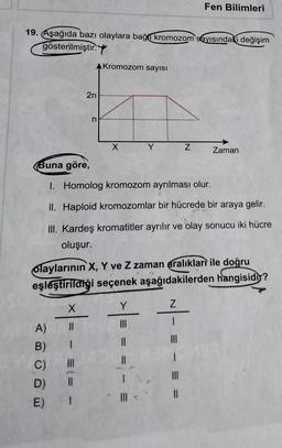 Fen Bilimleri
19. Aşağıda bazı olaylara bağlı kromozom sayısındaki değişim
gösterilmiştir. 4
A Kromozom sayısı
2n
x
Y
Z
Zaman
(Buna göre,
I. Homolog kromozom ayrılması olur.
II. Haploid kromozomlar bir hücrede bir araya gelir.
III. Kardeş kromatitler ayrılır ve olay sonucu iki hücre
oluşur.
Olaylarının X, Y ve Z zaman aralıkları ile doğru
eşleştirildiği seçenek
aşağıdakilerden hangisidir?
X
N
Y
III
|
A)
II
11
B)
C)
DI
II
= =
1
III
D)
II
E)