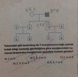 XRX
o
xry
4
(2 X RX
tex
5
6
8
Yukarıdaki gibi taralı birey de Y kromozonuna bağlı çekinik
kulak kıllığı hastalığı görüldüğüne göre soyağacındaki nu-
maralı bireylerden hangilerinde kesinlikle hastalık görülür?
A) 2 ve 5
B) 2,5,3 ve 8
C) 2.4 ve 8
E) 3, 4, 7 ve 8
D) 2,5, 6 ve 4