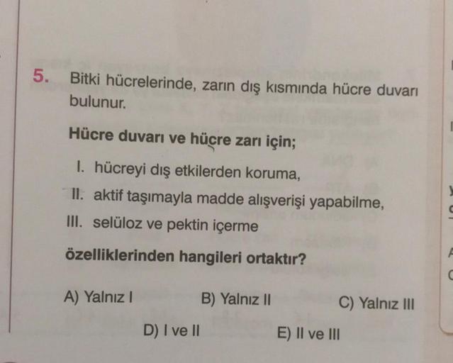 5. Bitki hücrelerinde, zarın dış kısmında hücre duv… Biyoloji 5. Bitki hücrelerinde, zarın dış kısmında hücre duv… Biyoloji