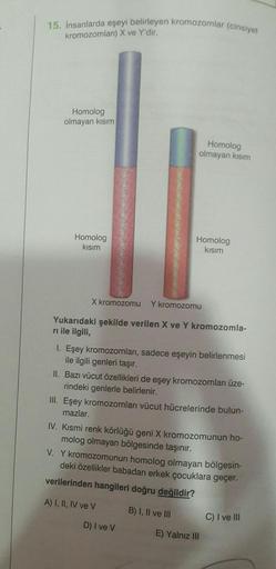 15. insanlarda eşeyi belirleyen kromozomlar (cinsiyet
kromozomları) X ve Y'dir.
Homolog
olmayan kısım
Homolog
olmayan kisim
Homolog
kisim
Homolog
kısım
X kromozomu
Y kromozomu
Yukarıdaki şekilde verilen X ve Y kromozomla-
ri ile ilgili,
1. Eşey kromozomlar