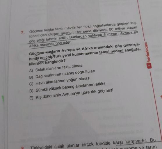 7.
Göçmen kuşlar farklı mevsimleri farklı coğrafyalarda geçiren kuş
türlerinden oluşan gruptur. Her sene dünyada 50 milyar kuşun
göç ettiği tahmin edilir. Bunlardan yaklaşık 5 milyarı Avrupa ile
Afrika arasında göç eder.
Göçmen kuşların Avrupa ve Afrika ar