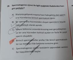 38. Spermatogenez süreci ile ilgili aşağıdaki ifadelerden han-
40
gisi yanlıştır?
A) Büyüyüp gelişerek mayoza hazır hale gelmiş olan sperm
ana hücrelerine birincil spermatosit denir.
B) Bir sperm ana hücresinden oluşan spermlerin büyük-
lüğü yaklaşık olarak aynıdır.
C) Mayoz bölünme sırasında krossing over gerçekleşmez-
se bir ana hücreden kalıtsal açıdan en fazla iki çeşit
sperm oluşabilir.
D) Birincil spermatositler profaz l'de ikincil spermatosit-
ler ise metafaz Il'de bekleme evresine girer.
E) Spermatogenez süreci testislerin yapısındaki semini-
fer tüpçüklerinde başlar.
