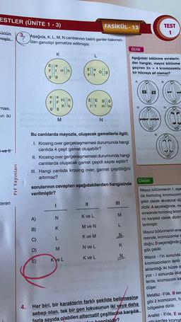 ESTLER (ÜNİTE 1 - 3)
FASİKÜL - 13
TEST
1
sünün
miştir.
?
Aşağıda, K, L, M, N canlılarının belirli genler bakımın-
dan genotipi şematize edilmiştir.
ÖSYM
K
E
Aşağıdaki bölünme evrelerin-
den hangisi, mayoz bölünme
geçiren 2n = 4 kromozomlu
bir hücreye ait olamaz?
FHA
E
G
FIlf
A)
B)
W
EE
g
g
2016 HD
IX
2011
HIIH
C)
D)
ması,
SUZ
SUZ
gllg
in iki
u
M
N
IN
Bu canlılarda mayozla, oluşacak gametlerle ilgili;
E)
vett
INS
1. Krosing over gerçekleşmemesi durumunda hangi
canlıda 4 çeşit gamet oluşabilir?
II. Krosing over gerçekleşmemesi durumunda hangi
canlılarda oluşacak gamet çeşidi sayısı eşittir?
III. Hangi canlıda krosing over, gamet çeşitliliğini
artırmaz?
Prf Yayınları
Çözüm:
sorularının cevapları aşağıdakilerden hangisinde
verilmiştir?
teren
III
I
Mayoz bölünmenin 1. aşa
da homolog kromozom
şılıklı olarak ekvatoral dü
dizilir. A seçeneğinde, me
evresinde homolog krom
rin karşılıklı olarak dizilm
terilmiştir.
Kve L
M
A)
N
L
M ve N
B)
K
Kve M
N
Mayoz bölünmenin ana
resinde, kromozomlar
doğru, D seçeneğinde
gibi çekilir.
D)
N ve L
M
M
IN
Kve L
E)
Kve L
Mayoz - l'in sonunda
kromozomların farklı
aktarıldığı iki hücre o
yoz - I sonunda olus
lerde, kromozom sa
düşer.
4.
Her biri, bir karakterin farklı şekilde belirmesine
Metafaz - Il'de, B sec
sebep olan, tek bir gen lokusunun iki veya daha gibi 2 kromozom, h
fazla sayıda olabilen alternatif çeşitlerine karşılık bölgesine dizilir.
hangisidir?
Anafaz - Il'de, E SE
gibi kardes kromat