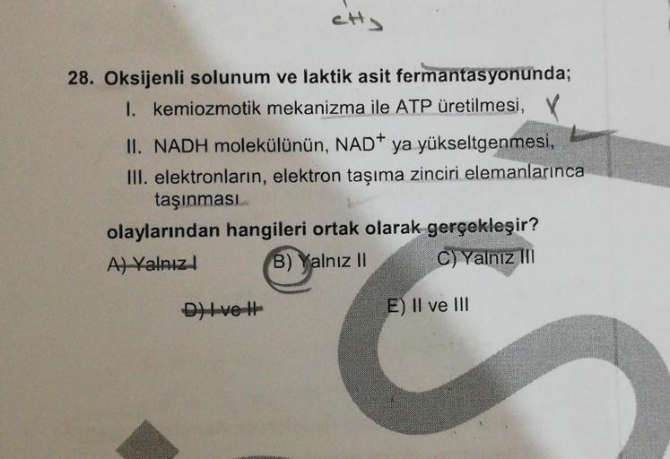 CH,
is
28. Oksijenli solunum ve laktik asit fermantasyonunda;
1. kemiozmotik mekanizma ile ATP üretilmesi,
II. NADH molekülünün, NAD+ ya yükseltgenmesi,
III. elektronların, elektron taşıma zinciri elemanlarınca
taşınmasi
olaylarından hangileri ortak olarak
