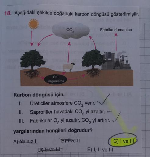 18. Aşağıdaki şekilde doğadaki karbon döngüsü gösterilmiştir.
CO2
Fabrika dumanları
Ölü
organizma
Karbon döngüsü için,
1. Üreticiler atmosfere Co, verir.
II. Saprofitler havadaki CO2 yi azaltır.
III. Fabrikalar oq yi azaltır, CO, yi artırır.
yargılarından