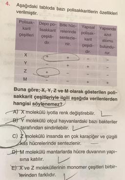 4. Aşağıdaki tabloda bazı polisakkaritlerin özellikleri
verilmiştir.
Polisak- Depo po- Bitki hüc- Yapısal
karit lisakkarit relerinde polisak-
çeşitleri çeşidi- sentezle- karit
dir.
nir.
çeşidi-
dir.
X
Yapısında
azot
atomu
bulundu-
rur.
+
+
0Y
+
-
Z
+
M-
+
+
Buna göre; X, Y, Z ve M olarak gösterilen poli-
sakkarit çeşitleriyle ilgili aşağıda verilenlerden
hangisi söylenemez?
At X molekülü iyotla renk değiştirebilir. L
BY molekülü otçul hayvanlardaki bazı bakteriler
tarafından sindirilebilir.
c) molekülü insanda en çok karaciğer ve çizgili
kas hücrelerinde sentezlenir.
Dt M molekülü mantarlarda hücre duvarının yapı-
sına katılır.
E) X ve Z moleküllerinin monomer çeşitleri birbir-
Yerinden farklıdır.