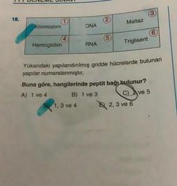 18.
(2
Maltaz
Kromozom
DNA
6
(5
Trigliserit
Hemoglobin
RNA
Yukarıdaki yapılandırılmış gridde hücrelerde bulunan
yapılar numaralanmıştır.
Buna göre, hangilerinde peptit bağı bulunur?
A) 1 ve 4
B) 1 ve 3 C) Ave 5
ve 5
D) 1.3 ve 4
2, 3 ve 6