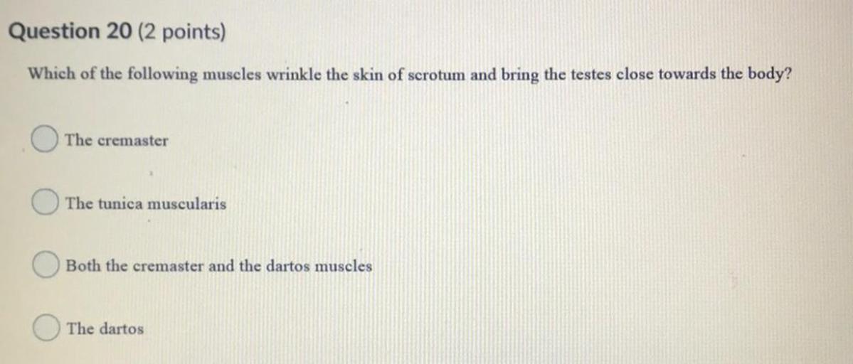 Question 20 (2 points)
Which of the following muscles wrinkle the skin of scrotum and bring the testes close towards the body?
The cremaster
The tunica muscularis
Both the cremaster and the dartos muscles
The dartos