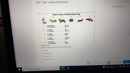 6 of 27
Unit 1 Test - Unity and Diversity
01
©
POSSIBLE POINTS. 2
How to Use a Dichotomous Key
5
2
2
a Backbone
b. No backbone
go to 2
go to s
2
a Wings
b. NO wings
bat
go to 3
3
go to
a Legs
No legs
snake
9
a Shell
D. No shell
tortoise
lizard
ant
spider
8