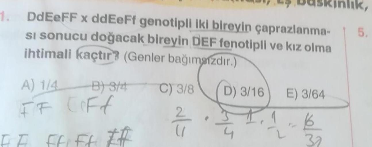 1.
DdEeFF x ddEeFf genotipli iki bireyin çaprazlanma
si sonucu doğacak bireyin DEF fenotipli ve kız olma
ihtimali kaçtır? (Genler bağımsızdır.)
5.
A) 114
B) 944
C) 3/8
D) 3/16
E) 3/64
FF Coff
2
ala
6
EF FF FF EA
32
