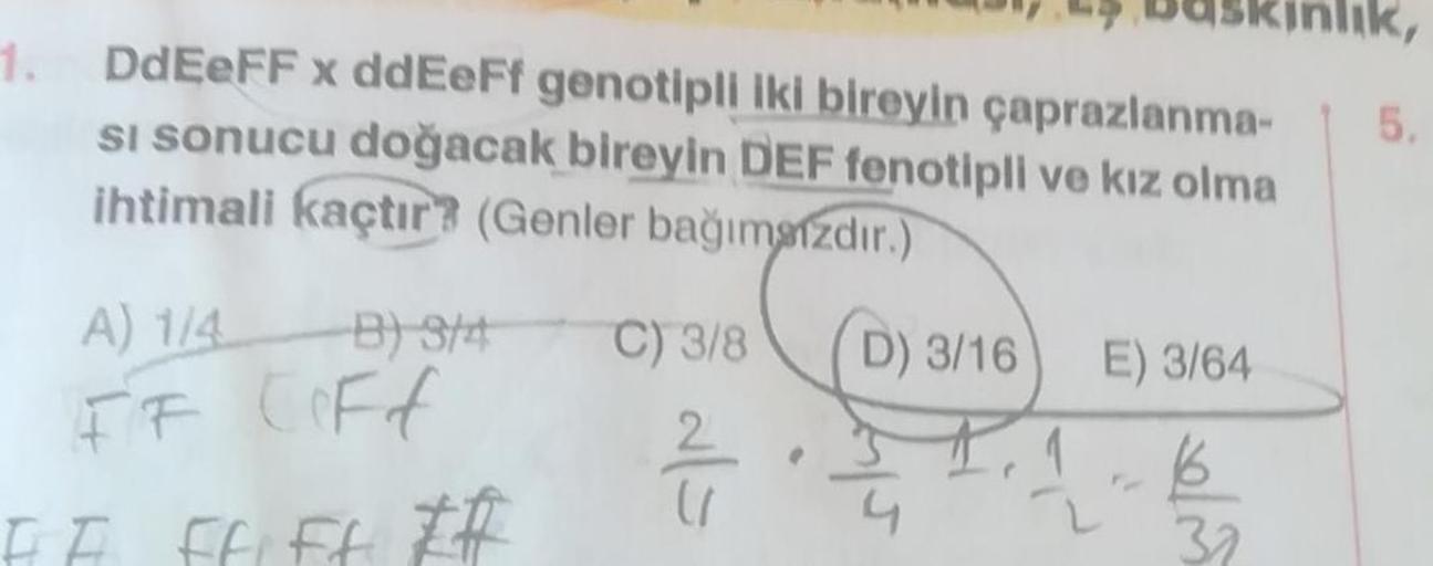 1.
DdEeFF x ddEeFf genotipli iki bireyin çaprazlanma
si sonucu doğacak bireyin DEF fenotipli ve kız olma
ihtimali kaçtır? (Genler bağımsızdır.)
5.
A) 114
B) 944
C) 3/8
D) 3/16
E) 3/64
FF Coff
2
ala
6
EF FF FF EA
32
