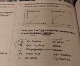 men Faktörler
4.
enlarına etki eden
e buna minimum
Aşağıdaki grafiklerde fotosentez hizinin X ve Yetken
rine bağh olarak değişimi gösterilmistir.
Fotosentez hizi
Fotosentez hizi
Fen hangisinin
etkilemez?
X
Buna göre, X ve Y etkenleri ile ilgili aşağıdaki egles
tirmelerden hangisi dogrudur?
X
Y
A)
Klorofil miktarı
Işık şiddeti
Sıcaklık
B)
C)
Işığın dalga boyu
Co, yoğunluğu
Klorofil miktarı
Işık şiddeti
faktöre
D)
Steaklik
Işığın dalga boyu
CO2 yoğunluğu
E)