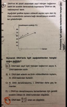 DNA'nın iki zinciri arasındaki zayıf hidrojen bağlarının
belirli bir sıcaklık derecesinde kopmasına “DNA'nın de-
natürasyonu” denir.
Aşağıdaki grafikte toplam nükleotit sayıları aynı olan üç
DNA molekülünün zamana bağlı denatürasyon sıcaklık-
ları gösterilmiştir.
in
ek-
Denatürasyon sıcaklığı (°C)
Proteinlerle ilgili aşağıda verilenlerden hangisi yan-
90
le-
75
II
60
pin
45
rom
30
15
liştir?
- Zaman
O
Numaralt DNA'larla ilgili aşağıdakilerden hangisi
doğru değildir?
A) A. DNA'daki zayıf üçlü hidrojen bağlarının sayısı II.
DNA'dakinden azdır.
B) II. DNA'daki adenin ve timin nükleotitlerinin toplamı,
IU. DNA'dakinden fazladır.
C) II. DNA denatürasyonu, I. DNA'dan daha geç ta-
mamlar.
D) I. DNA'nın denatürasyonu tamamlaması için gerekli
sıcaklık miktarı III. DNA'nınkinden düşüktür.
G+C
E) WI. DNA'daki oranı en düşüktür.
A+T
n-