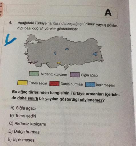 i
it
2
A
6.
Aşağıdaki Türkiye haritasında beş ağaç türünün yayılış göster-
diği bazı coğrafi yöreler gösterilmiştir.
Akdeniz kızılçami
Sığla ağacı
Toros sediri
Datça hurmasi
ispir meşesi
Bu ağaç türlerinden hangisinin Türkiye ormanları içerisin-
de daha sınırlı bir yayılım gösterdiği söylenemez?
A) Sığla ağacı
B) Toros sediri
C) Akdeniz kızılçamı
D) Datça hurmasi
E) İspir meşesi