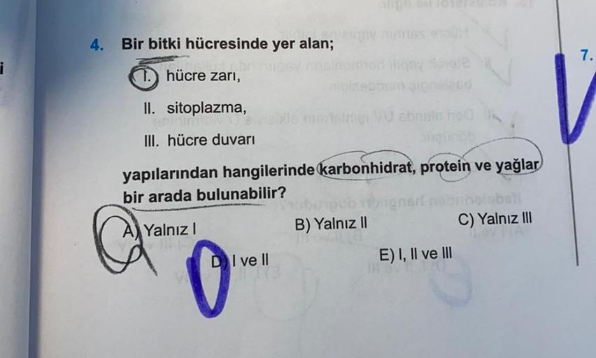 4. Bir bitki hücresinde yer alan; 7. i 1. hücre zar… Biyoloji 4. Bir bitki hücresinde yer alan; 7. i 1. hücre zar… Biyoloji