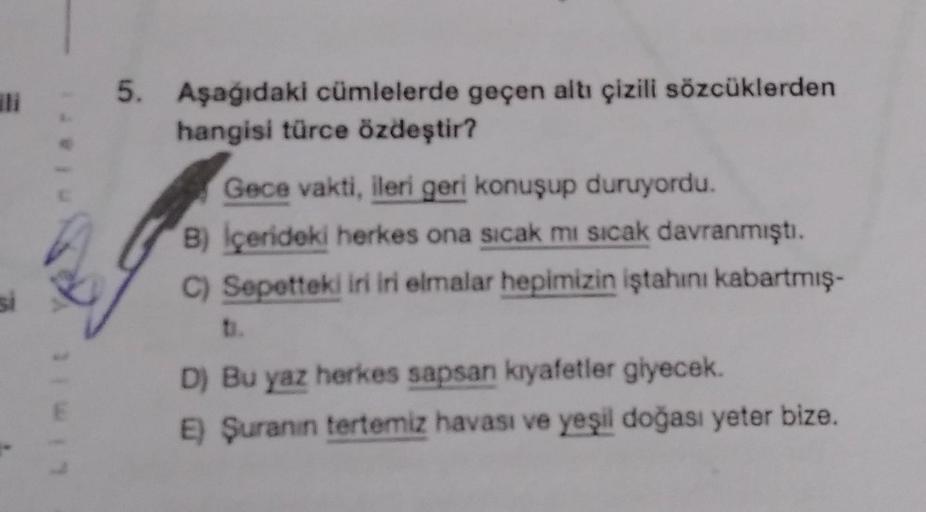 5. Aşağıdaki cümlelerde geçen altı çizili sözcüklerden
hangisi türce özdeştir?
Gece vakti, ileri geri konuşup duruyordu.
B) Içerideki herkes ona sicak mi sicak davranmıştı.
C) Sepetteki iri iri elmalar hepimizin iştahını kabartmış-
D) Bu yaz herkes sapsan