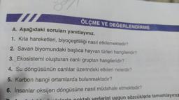 o
ÖLÇME VE
DEĞERLENDİRME
A. Aşağıdaki soruları yanıtlayınız.
1. Kita hareketleri, biyoçeşitliliği nasıl etkilemektedir?
2. Savan biyomundaki başlıca hayvan türleri hangileridir?
3. Ekosistemi oluşturan canlı grupları hangileridir?
Teti
4. Su döngüsünün canlılar üzerindeki etkileri nelerdir?
5. Karbon hangi ortamlarda bulunmaktadır?
6. İnsanlar oksijen döngüsüne nasıl müdahale etmektedir?
yerlerini uygun sözcüklerle tamamlayınız
