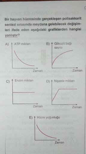 €
Bir hayvan hücresinde gerçekleşen polisakkarit
sentezi sırasında meydana gelebilecek değişim-
leri ifade eden aşağıdaki grafiklerden hangisi
yanlıştır?
A)
ATP miktarı
B)
Glikozit bağı
sayisi
Zaman
Zaman
C)
Enzim miktarı
D) A Nişasta miktarı
Zaman
Zaman
E