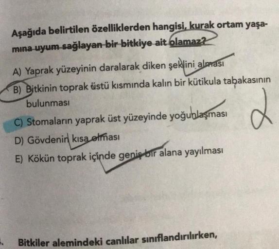 Aşağıda belirtilen özelliklerden hangisi, kurak ortam yaşa-
mina uyum sağlayan bir bitkiye ait olamaz?
A) Yaprak yüzeyinin daralarak diken şeklini alması
B) Bitkinin toprak üstü kısmında kalın bir kütikula tabakasının
bulunması
C) Stomaların yaprak üst yüz