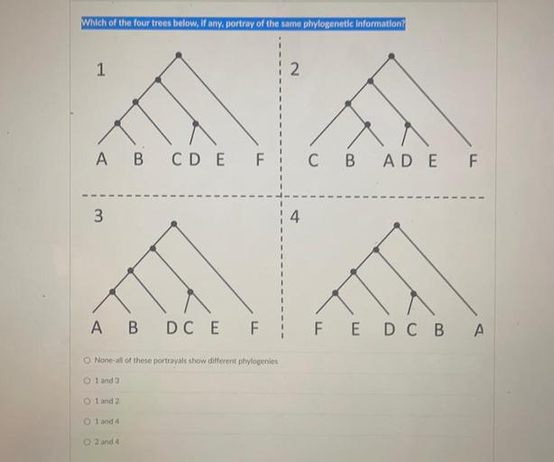 Which of the four trees below, if any, portray of the same phylogenetic Information?
1
2
A B C D E F
C B A D E F
3
4
A B
DC E
F
F E D C B A
O None all of these portrayals show different phylogenies
1 and 3
1 and 2
0 1 and 4
O 2 and 4