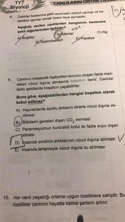 TYT
Biyoloji
CANLILARIN ORT
A:
lu
a o
8.
Canlılar beslenme şekli açısından ototrof canlılar ve he-
terotrof canlılar olmak üzere ikiye ayrılabilir.
Aşağıda verilen canlılardan hangisinin beslenme
şekli diğerlerinden farklıdır?
A) Buğday
By Mantar
Dy Siyanobakteri
EY Papatya
Het
C) Alg
9.
Canlının metabolik faaliyetleri sonucu oluşan fazla mad-
deleri vücut dışına atmasına boşaltım denir. Canlılar
farklı şekillerde boşaltım yapabilirler.
Buna göre, aşağıdakilerden hangisi boşaltım olarak
kabul edilmez?
A) Hayvanlarda azotlu atıkların idrarla vücut dışına ve-
rilmesi
B) Bitkilerin geceleri dışarı Co, vermesi
C) Paramesyumun kontraktil koful ile fazla suyu dışarı
atması
D) Insanda sindirim artıklarının vücut dışına atılması
E) İnsanda terlemeyle vücut dışına su atılması
10. Her canlı yaşadığı ortama uygun özelliklere sahiptir. Bu
özellikler canlının hayatta kalma şansını artırır.