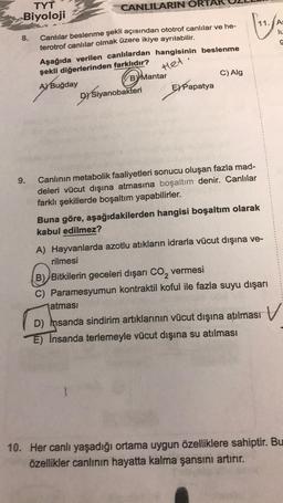 TYT
Biyoloji
CANLILARIN ORT
A:
lu
a o
8.
Canlılar beslenme şekli açısından ototrof canlılar ve he-
terotrof canlılar olmak üzere ikiye ayrılabilir.
Aşağıda verilen canlılardan hangisinin beslenme
şekli diğerlerinden farklıdır?
A) Buğday
By Mantar
Dy Siyanobakteri
EY Papatya
Het
C) Alg
9.
Canlının metabolik faaliyetleri sonucu oluşan fazla mad-
deleri vücut dışına atmasına boşaltım denir. Canlılar
farklı şekillerde boşaltım yapabilirler.
Buna göre, aşağıdakilerden hangisi boşaltım olarak
kabul edilmez?
A) Hayvanlarda azotlu atıkların idrarla vücut dışına ve-
rilmesi
B) Bitkilerin geceleri dışarı Co, vermesi
C) Paramesyumun kontraktil koful ile fazla suyu dışarı
atması
D) Insanda sindirim artıklarının vücut dışına atılması
E) İnsanda terlemeyle vücut dışına su atılması
10. Her canlı yaşadığı ortama uygun özelliklere sahiptir. Bu
özellikler canlının hayatta kalma şansını artırır.
