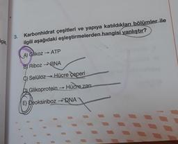 3.
için,
Karbonhidrat çeşitleri ve yapıya katıldıkları bölümler ile
ilgili aşağıdaki eşleştirmelerden hangisi yanlıştır?
A) Glikoz - ATP
B) Riboz > RNA
C) Selüloz Hücre çeperi
Hücre zarı
D) Glikoprotein
E) Deoksiriboz → DNA