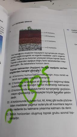 AVI
TYT DENEME SINAVI
gote
siyon
10.
Asagid
rinago
dur
A horizonu
B horizonu
Chorizonu
Ort
D horizonu
içinde çeşitli inorganik ve organik maddeler ,canli organiz-
Yer kabuğunu oluşturan kayaçların ayrışmasıyla oluşan,
malar, hava ve su bulunan yüzeysel örtüye toprak denir.
Toprak yukarıdan aşağıya doğru farklı tabakalardan mey-
dana gelir. Bu tabakalara horizon denir.
Toprak katmanları (horizon) ile ilgili aşağıda verilen
bilgilerden hangisi yanlıştır?
A) A horizonu; humus bakımından zengin, koyu renkli ve
tarım açısından oldukça elverişlidir.
B) Chorizonu, anakayaya ait iri parçaların
dağılmış hâlde
bulunduğu ve toprağın henüz oluşmadığı katmandir.
C) D horizonunda anakaya henüz ayrışmadığı ve çözün-
meye uğramadığı için kayaçlar büyük
parçalar şeklin-
dedir.
D) A horizonunda bulunan tuz, kil, kireç gibi suda çözüne-
bilen maddeler yağmur sularıyla alt kısımlara taşınır.
Bu nedenle bu katmana yıkanma katmanı da denir.
E) Bütün horizonları oluşmuş toprak grubu azonal top-
raklardır.
