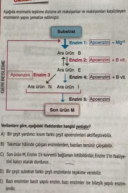 Aşağıda enzimatik tepkime dizisine ait reaksiyonlar ve reaksiyonları katalizleyen
enzimlerin yapısı şematize edilmiştir.
Substrat
Enzim 1: Apoenzim + Mg2
Ara ürün B
Enzim 2: Apoenzim + B vit.
THE
GERİ BESLEME
Apoenzim Enzim 3
Ara ürün E
Enzim 4: Apoenzim + B vit.
.
Ara ürün N Ara ürün i
Enzim 5: Apoenzim
Son ürün M
Verilenlere göre, aşağıdaki ifadelerden hangisi yanlıştır?
A) Bir çeşit yardımcı kısım farklı çeşit apoenzimleri aktifleştirebilir
.
B) Takımlar hâlinde çalışan enzimlerden, bazıları tersinir çalışabilir.
C) Son ürün M, Enzim 1'e kuvvetli bağlanan inhibitördür, Enzim 1'in faaliye-
tini kalıcı olarak durdurur.
D) Bir çeşit substrat farklı çeşit enzimlerle tepkime verebilir.
E) Bazı enzimler basit yapılı enzim, bazı enzimler ise bileşik yapılı enzim-
lerdir.