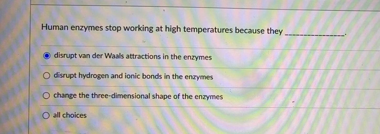 Human enzymes stop working at high temperatures beca... Biology