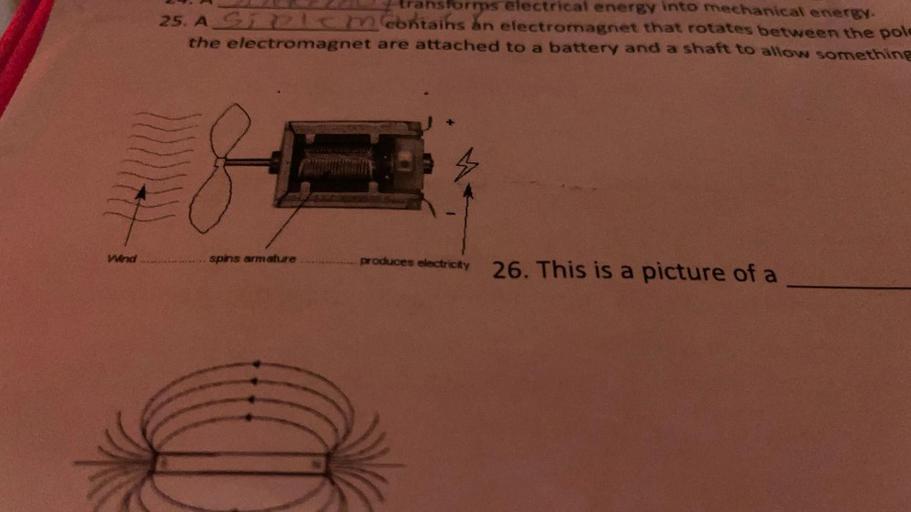 ansforms electrical energy into mechanical energy. 2... Biology