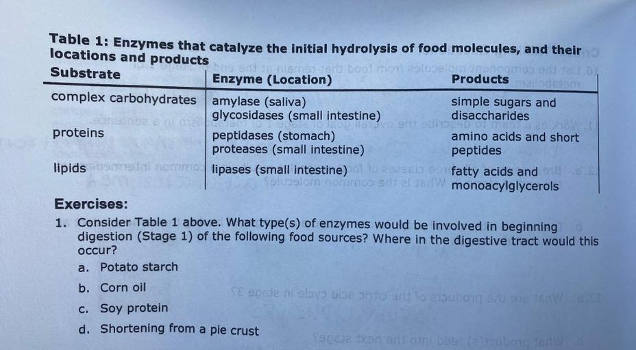 Enzymes That Breakdown Disaccharides Are Located ____ vrogue.co
