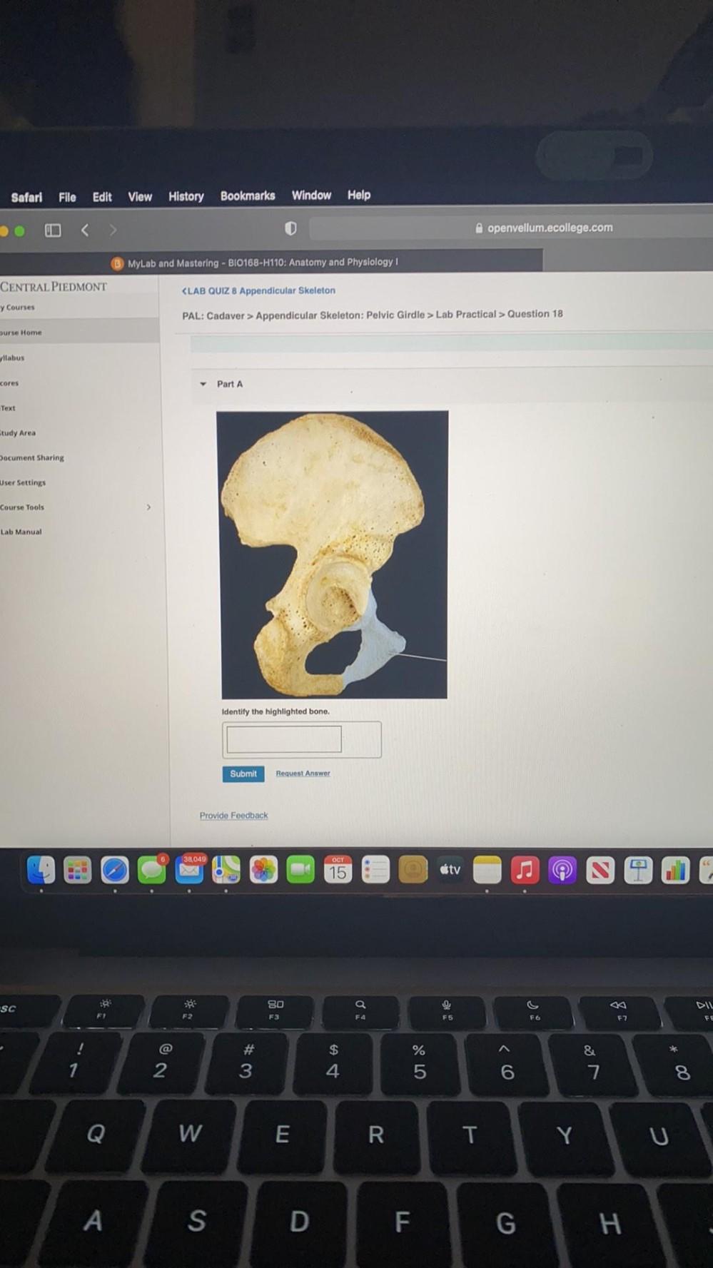 Safari File Edit View History Bookmar Anatomy And Physiology