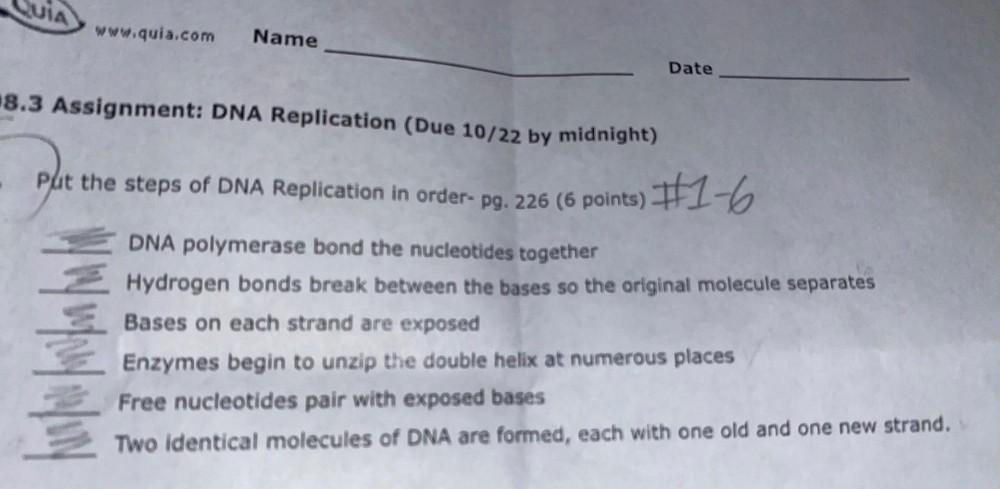 QUIA Www quia Name Date 8 3 Assignment DNA Repl Biology