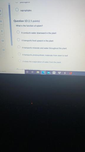 puurvycns
3
saprophytes
6.
Question 13 (2.5 points)
What is the function of xylem?
9
O It conducts water downward in the plant.
O
12
It transports food upward in the plant.
O
It transports minerals and water throughout the plant.
15
It transports photosynthetic materials from stem to leaf.
It slows the evaporation of water from the plant.
nortin
o search
o
jj
a