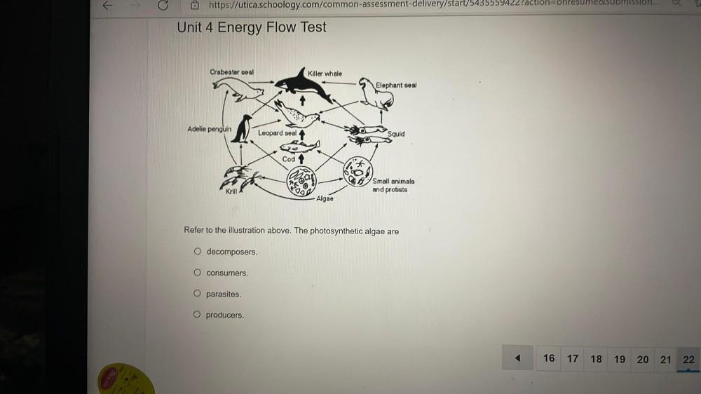 Billon Https utica schoology common assessme Biology