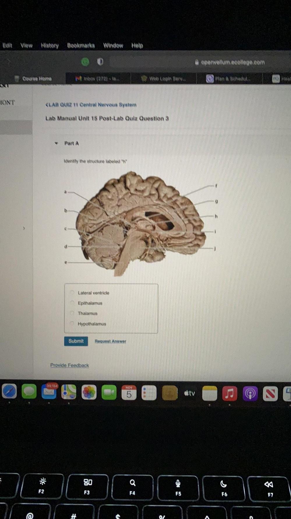 Elit View Miatory Bookmarka Window He Anatomy And Physiology