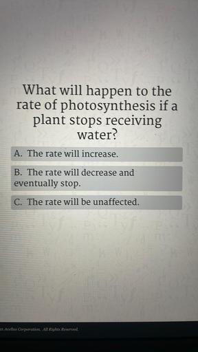 What will happen to the
rate of photosynthesis if a
plant stops receiving
water?
A. The rate will increase.
B. The rate will decrease and
eventually stop.
C. The rate will be unaffected.
21 Acellus Corporation. All Rights Reserved.
