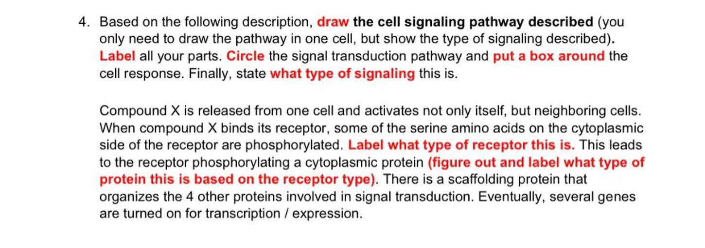 4. Based on the following description, draw the cell... Biology
